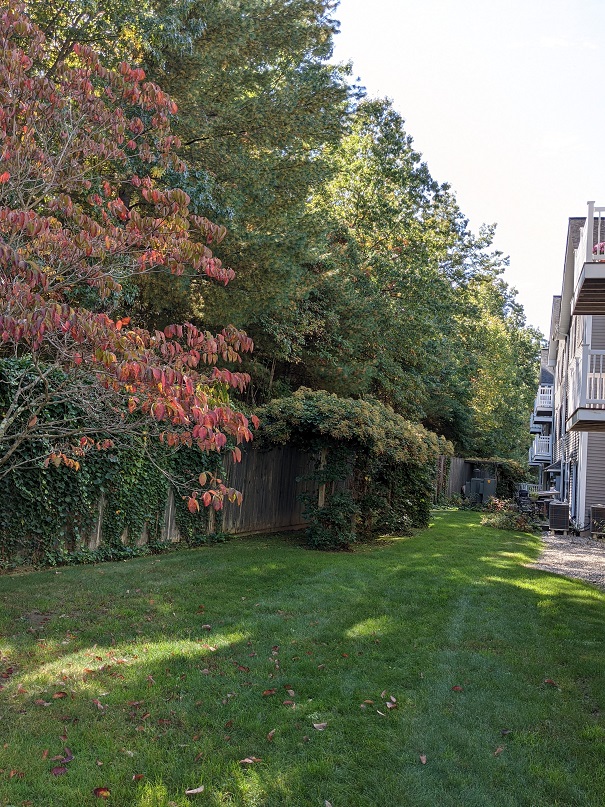 Greenleaves Realty Group